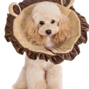 Alfie Brown and Tan Lion Mane Dog Safety Soft Cone. XXL